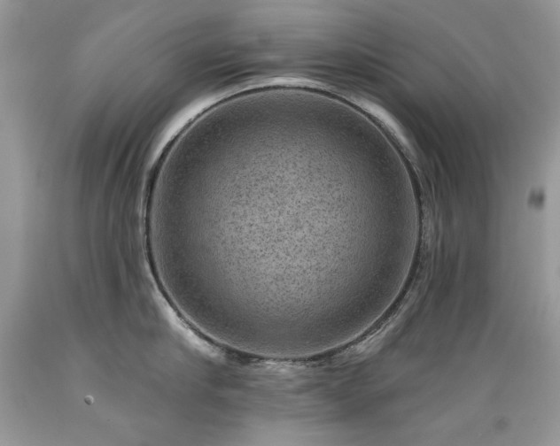 X0000089380910200706221251