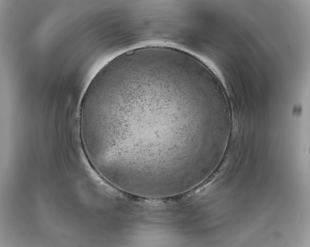 X0000089380911200706221251