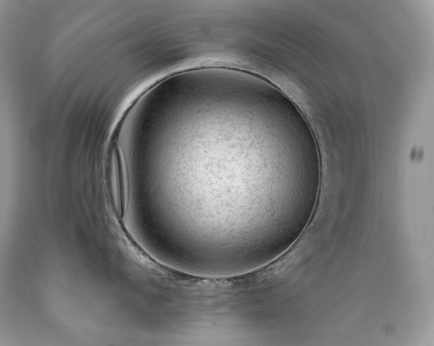 X0000089380912200706221251
