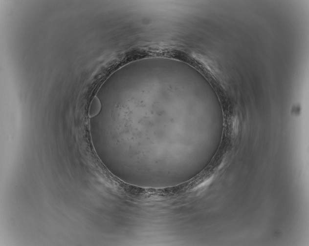 X0000089380913200706221250