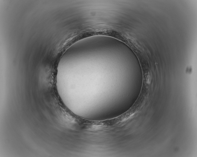 X0000089380916200706221250