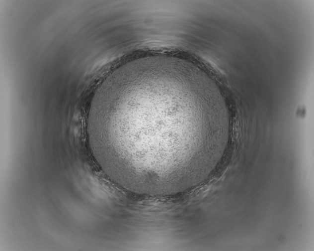 X0000089380917200706221250