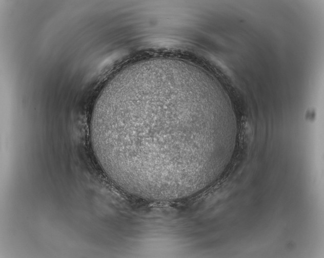 X0000089380918200706221250