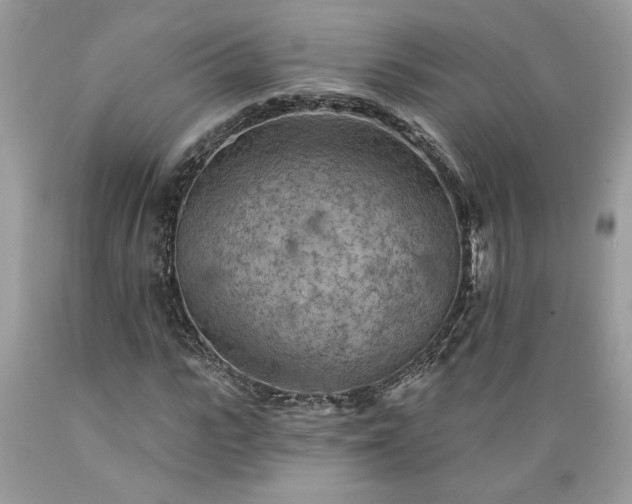 X0000089380919200706221250