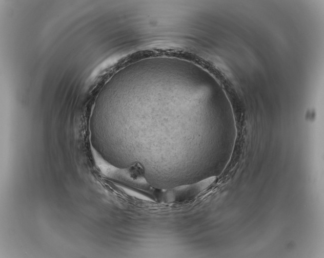 X0000089380920200706221250