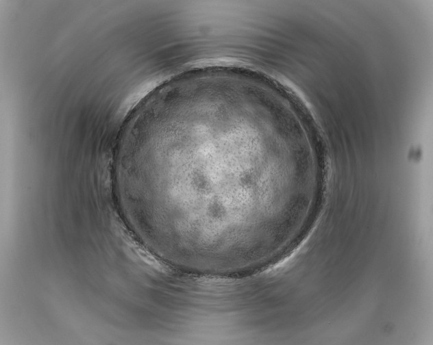 X0000089380921200706221250