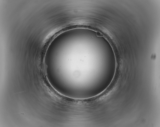 X0000089380922200706221250