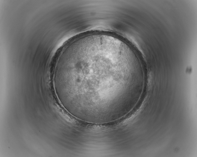 X0000089380923200706221250