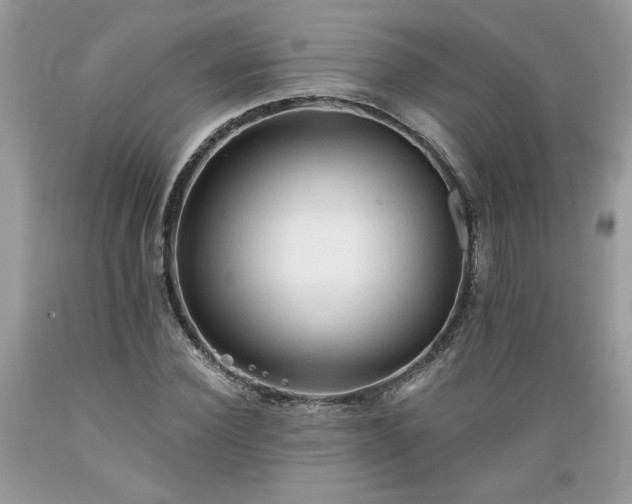 X0000089380924200706221250