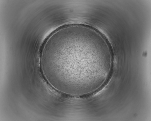 X0000089380925200706221251