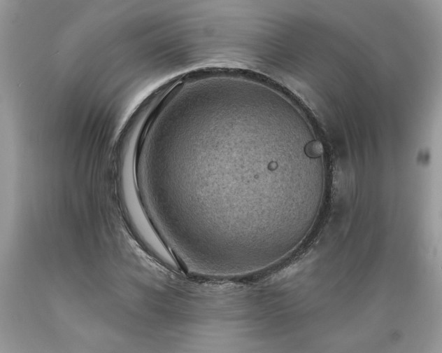 X0000089380926200706221251