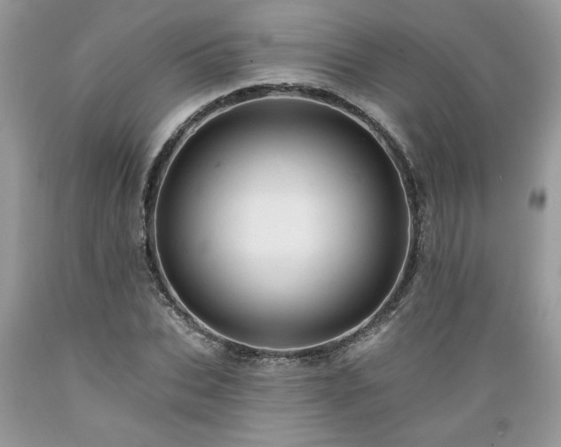 X0000089380927200706221251