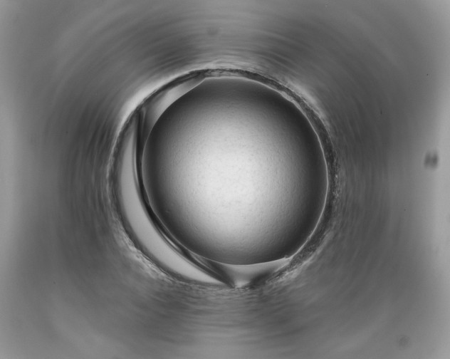X0000089380928200706221251