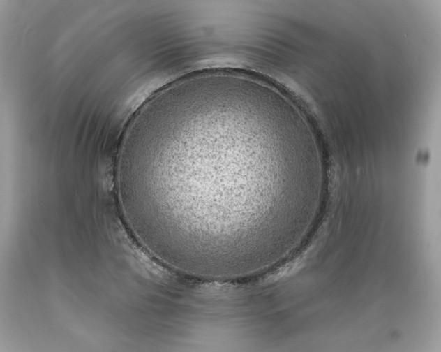 X0000089380929200706221251