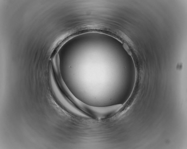 X0000089380930200706221251