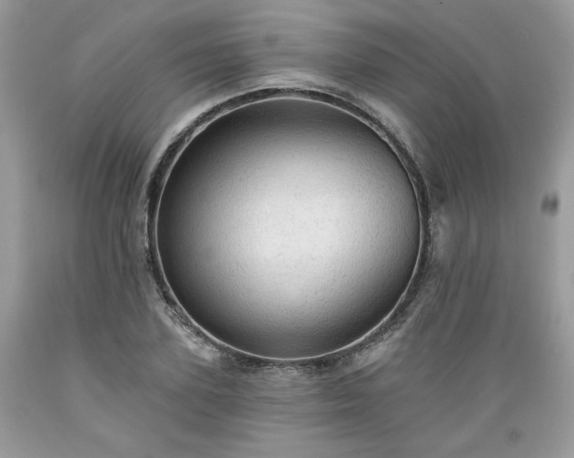 X0000089380931200706221251