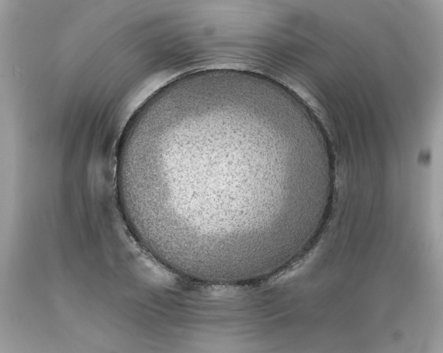 X0000089380933200706221251