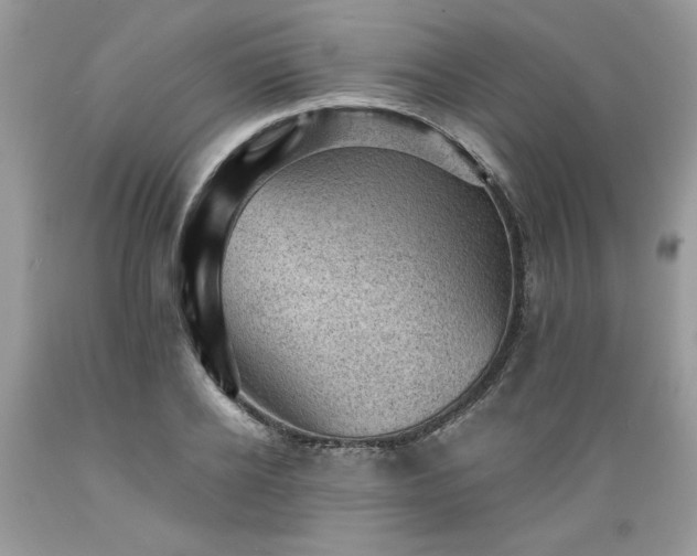 X0000089380934200706221251