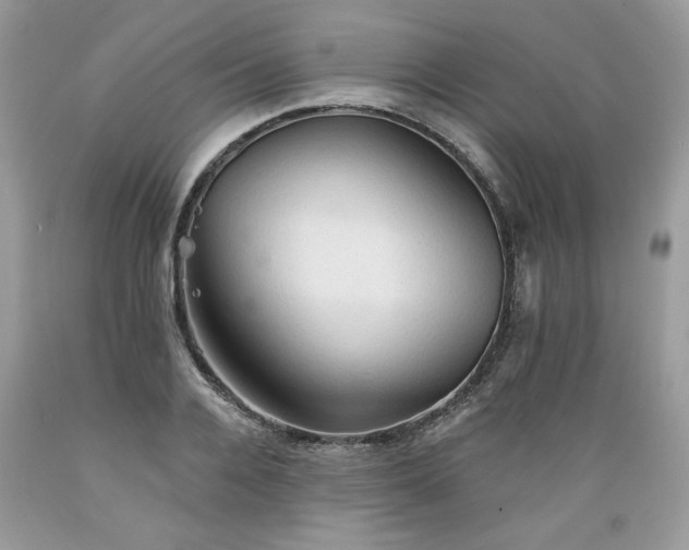 X0000089380936200706221251