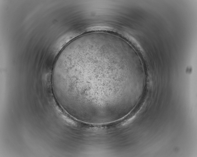 X0000089380937200706221251
