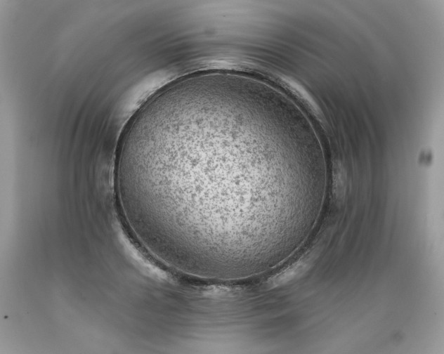 X0000089380938200706221251