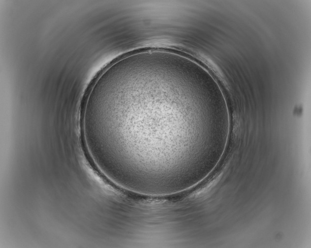 X0000089380939200706221251