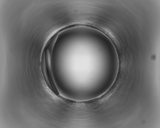 X0000089380940200706221251