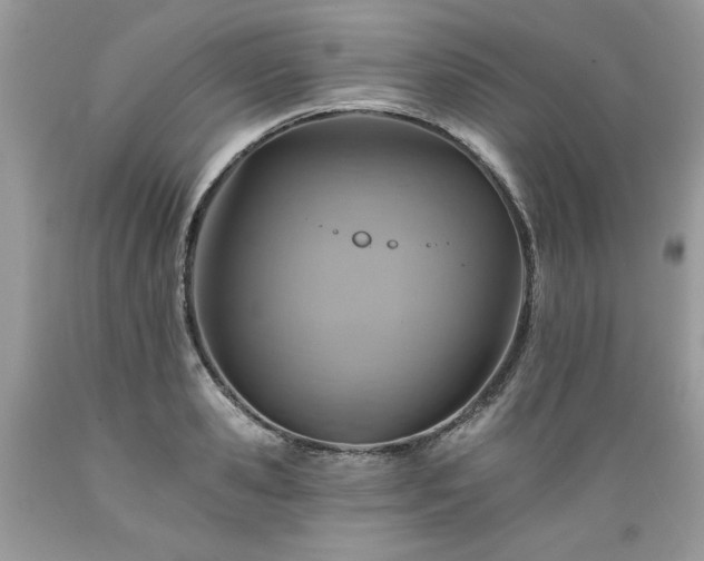 X0000089380941200706221251