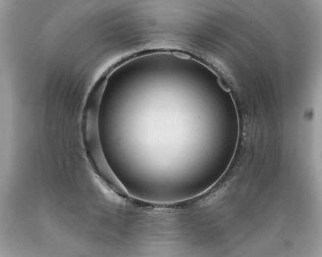 X0000089380942200706221251