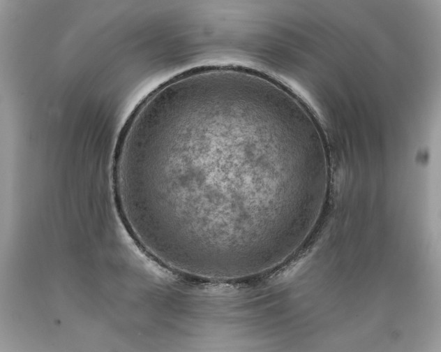 X0000089380943200706221251