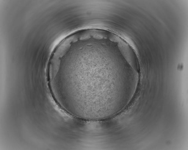 X0000089380944200706221251