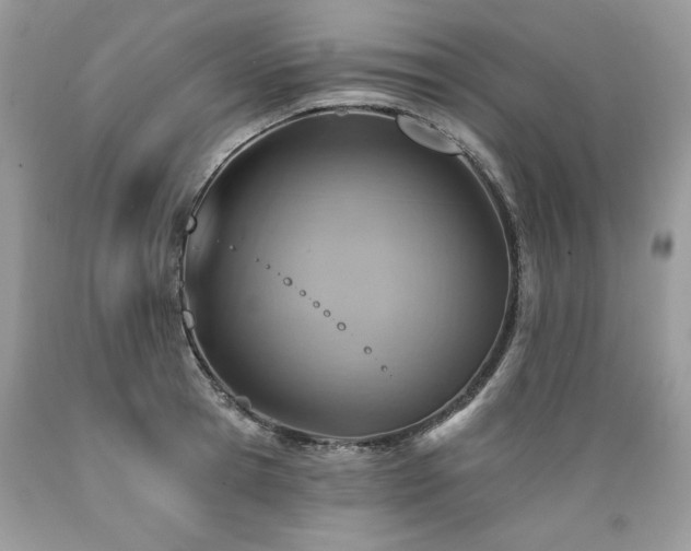 X0000089380945200706221251