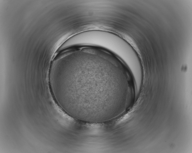X0000089380946200706221251