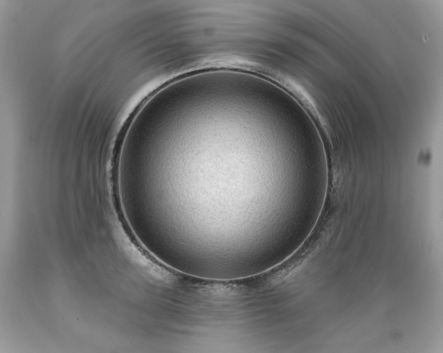 X0000089380947200706221251
