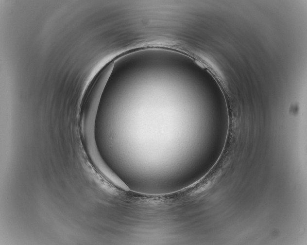 X0000089380948200706221251