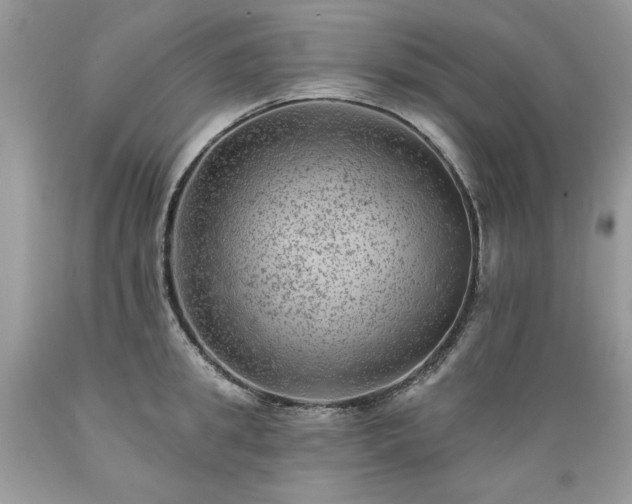 X0000089380949200706221251