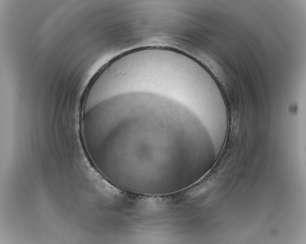 X0000089380950200706221251