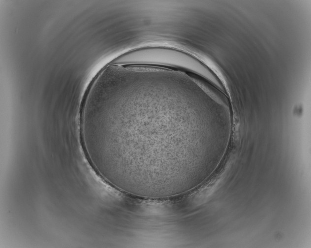 X0000089380951200706221251