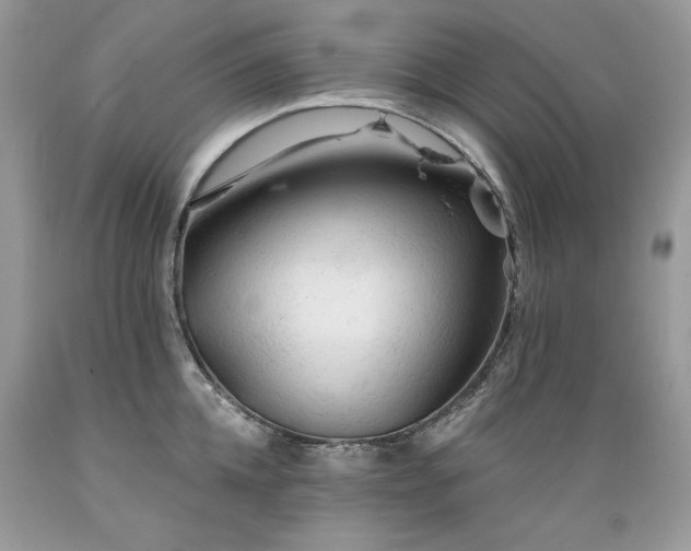 X0000089380952200706221251