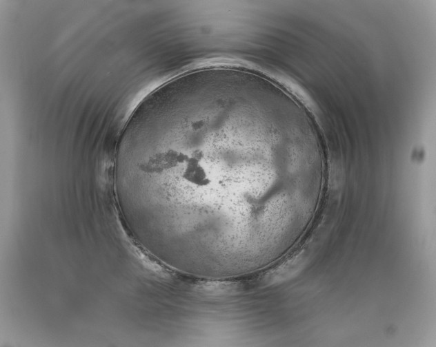 X0000089380953200706221251
