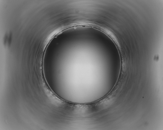 X0000089380954200706221251