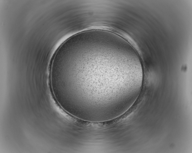 X0000089380955200706221251