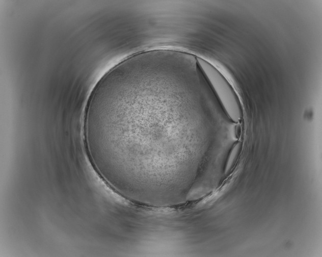 X0000089380957200706221251