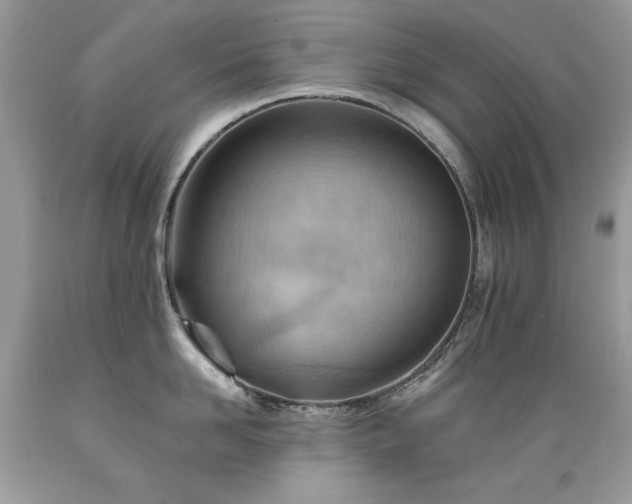 X0000089380958200706221251