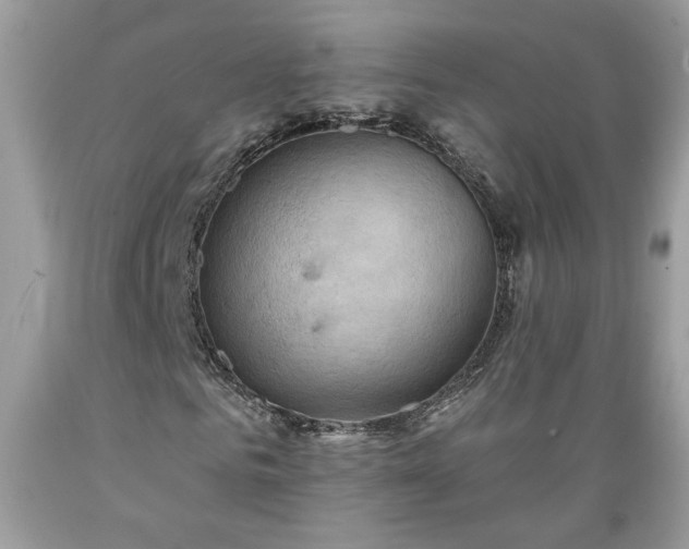 X0000089380961200706221250