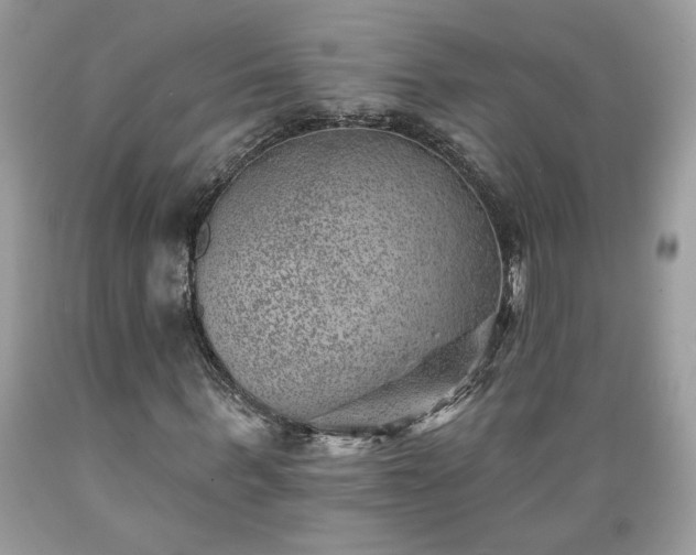 X0000089380963200706221250