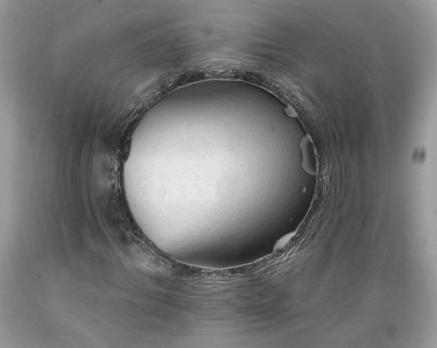 X0000089380964200706221250