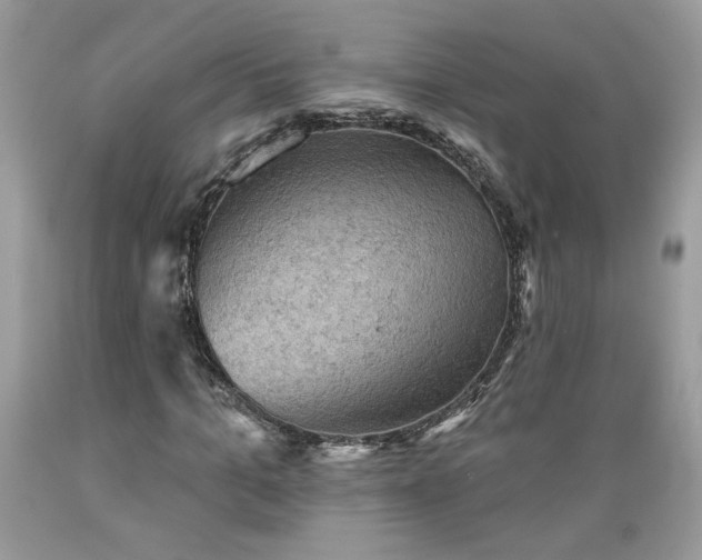 X0000089380965200706221250