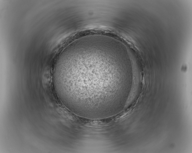 X0000089380966200706221250