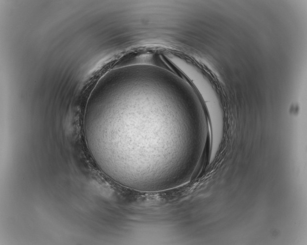 X0000089380968200706221250